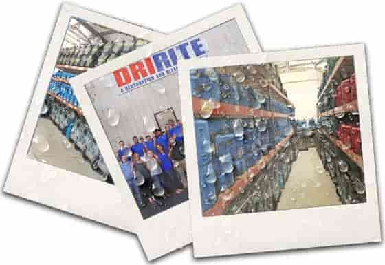 Dririte - Water damage restoration service
