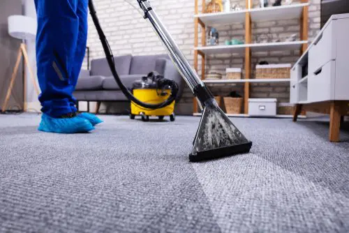 Carpet Cleaning in Tampa bay area