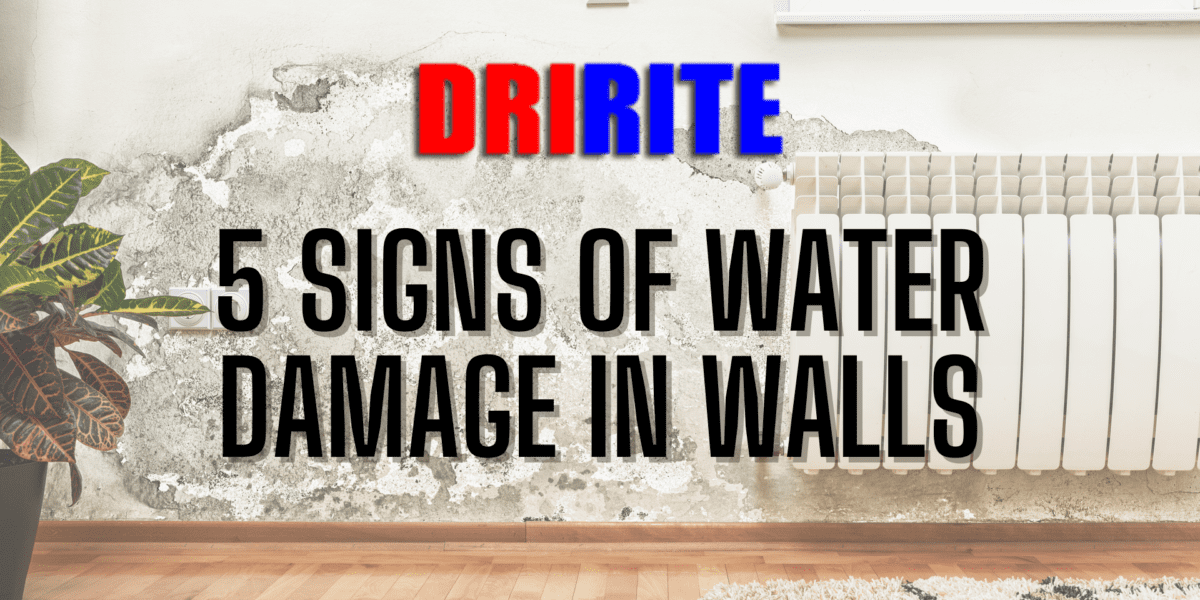 5 Signs of Water Damage in Walls (1)