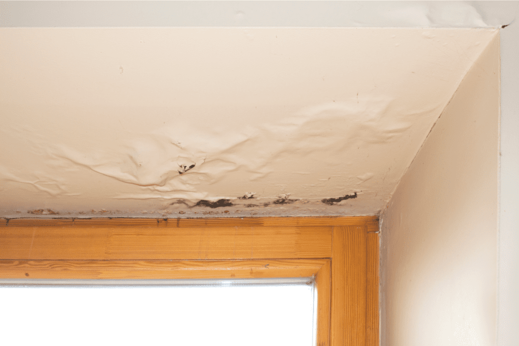 Wet Or Dark Spots - Signs Of Water Damage In Walls