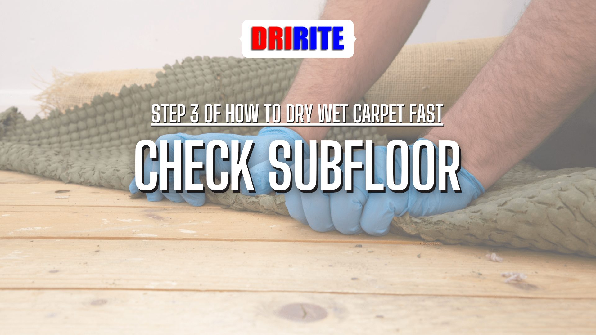 Check Subfloor - How To Dry Wet Carpet Fast After Water Damage