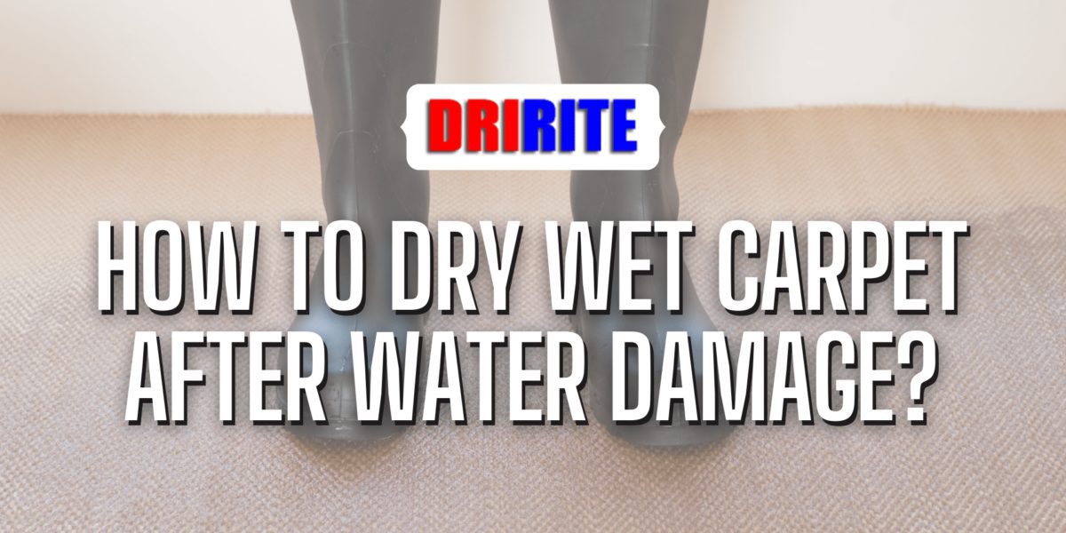 How To Dry Wet Carpet After Water Damage?