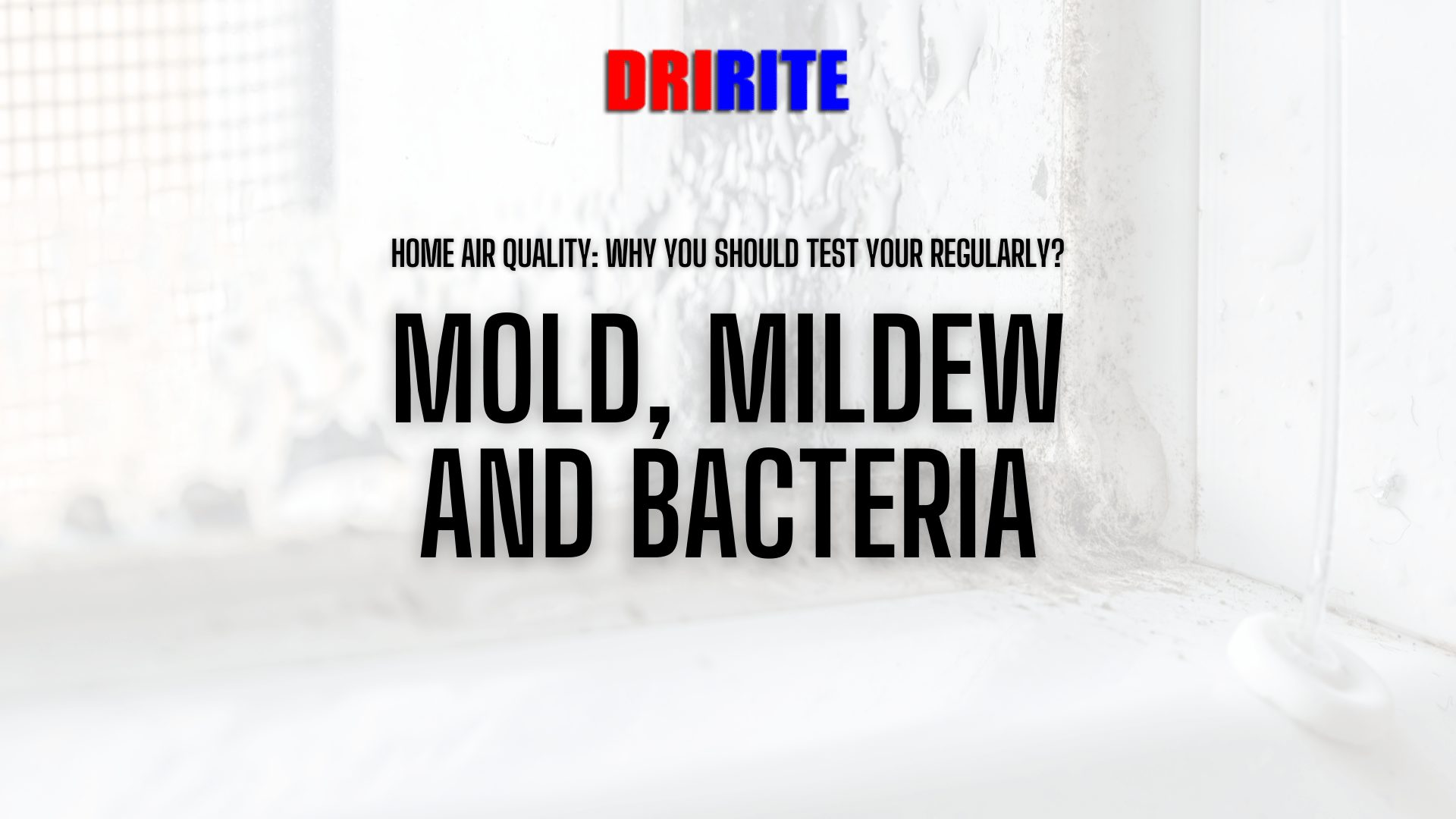 Mold, Mildew And Bacteria - Home Air Quality - Why You Should Test Yours Regularly