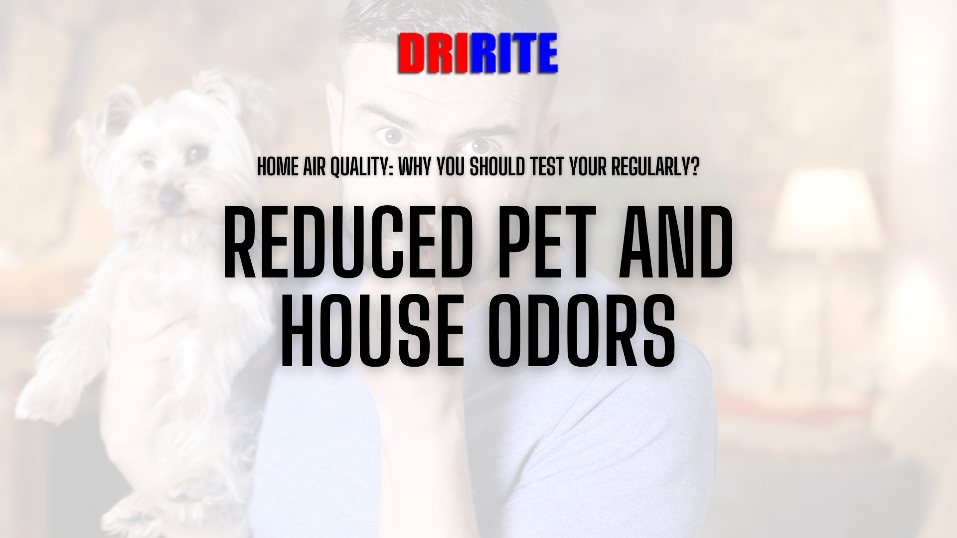 Reduced Pet And House Odors - Home Air Quality - Why You Should Test Yours Regularly