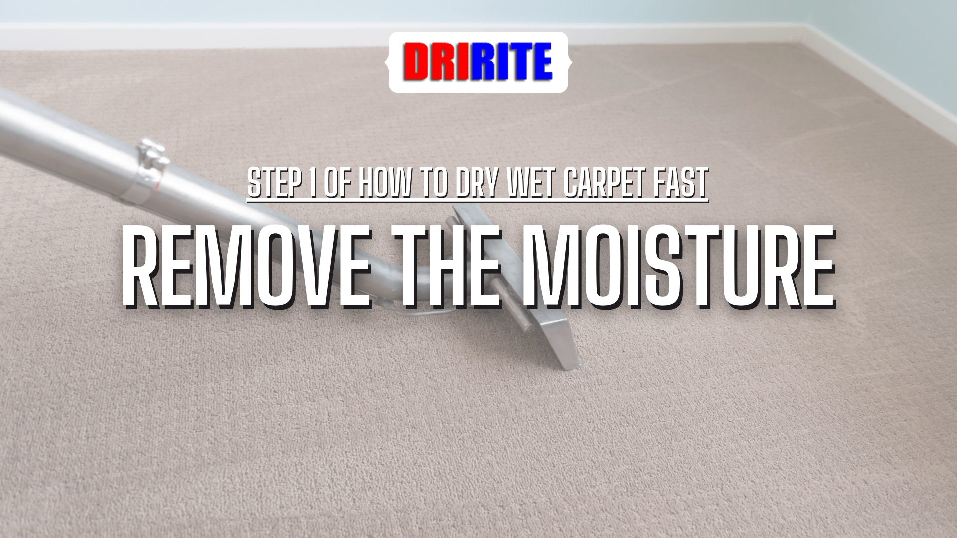 Remove The Moisture - How To Dry Wet Carpet Fast After Water Damage
