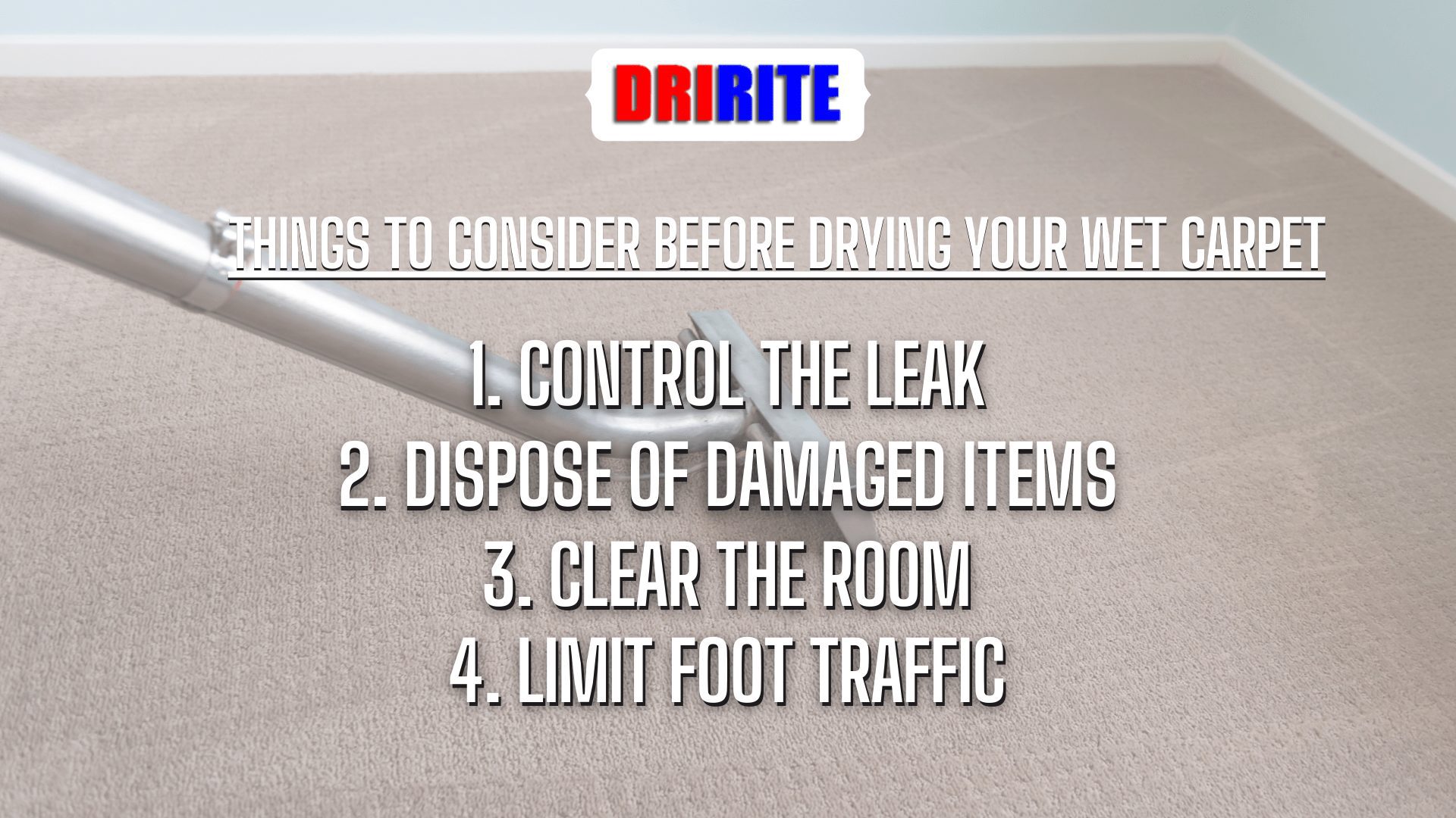 Things to Consider Before Drying Your Wet Carpet