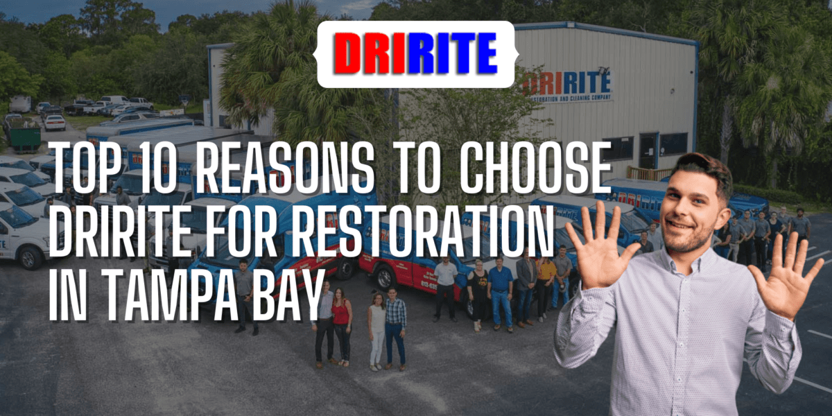 Top 10 Reasons to Choose DriRite for Restoration in Tampa Bay