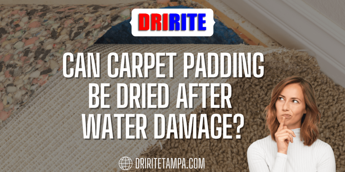 Can Carpet Padding Be Dried After Water Damage