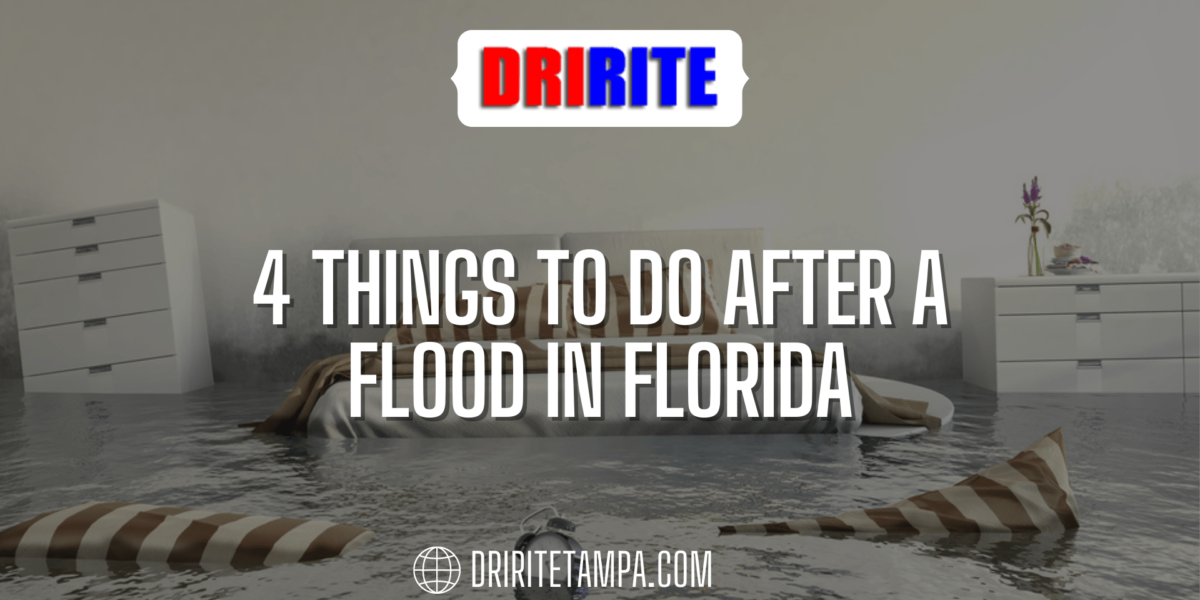  Things To Do After A Flood In Florida x