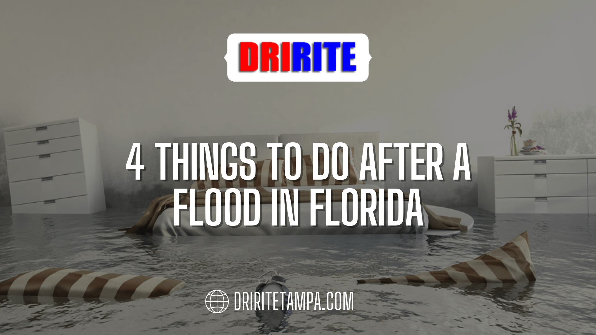  Things To Do After A Flood In Florida