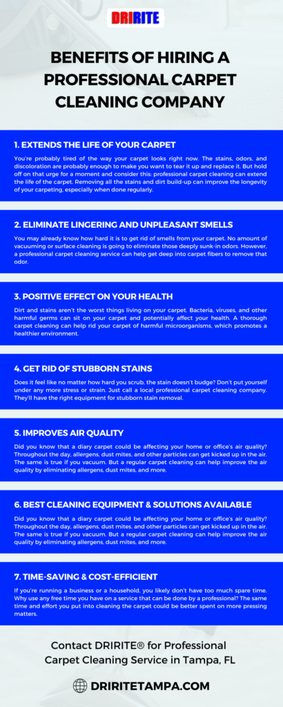 Benefits Of Hiring A Professional Carpet Cleaning Company Infographic