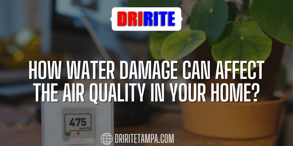 How Water Damage Can Affect the Air Quality in Your Home