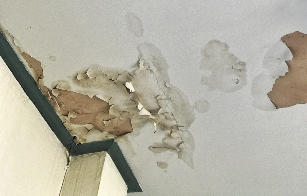 Soggy Spots Ceiling Need To Be Immediately Replaced After Water Damage