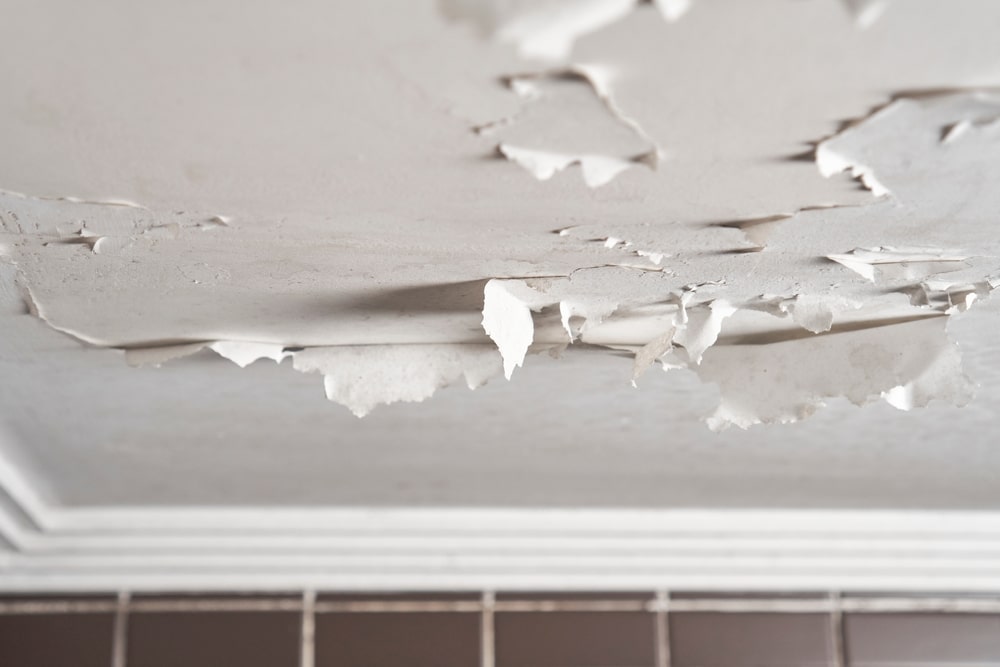 Wallpaper and Paint Damage Ceiling Need To Be Immediately Replaced After Water Damage