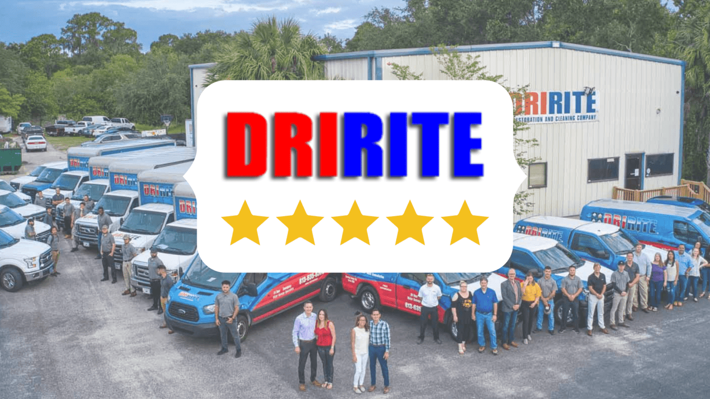 DRIRITE® Tampa Water Damage & Disaster Restoration Company