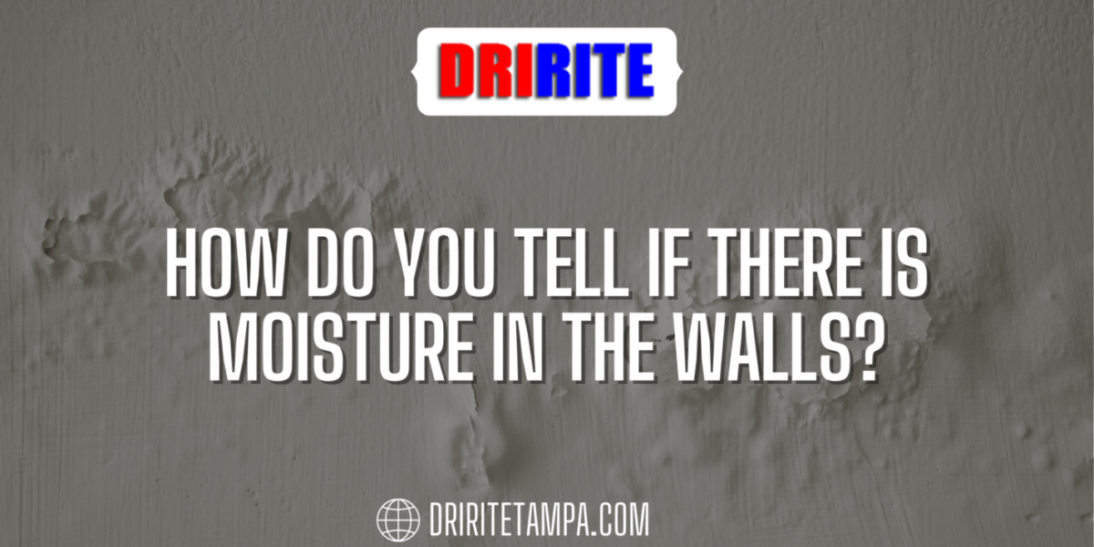 How Do You Tell if There Is Moisture in the Walls