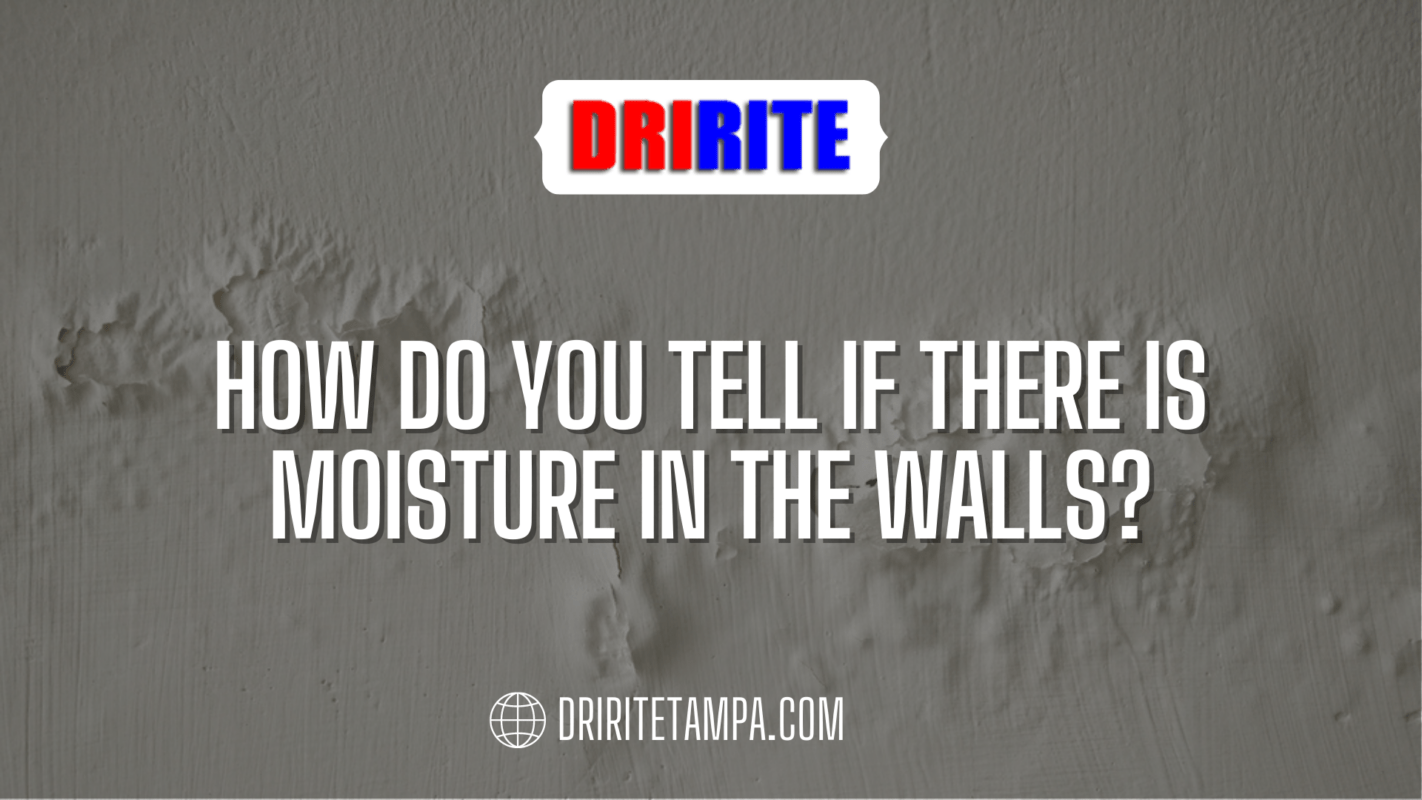How Do You Tell if There Is Moisture in the Walls