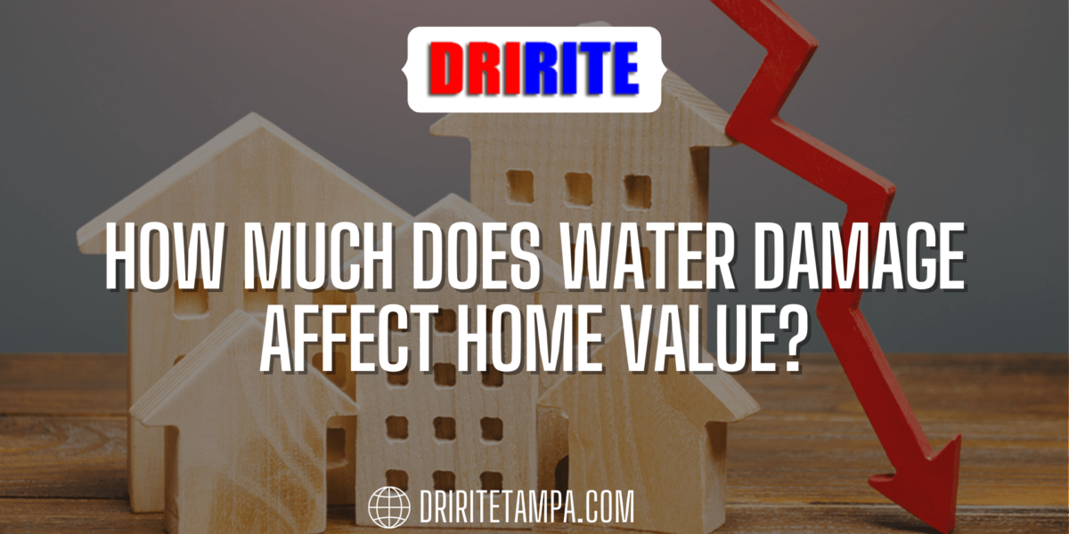 How Much Does Water Damage Affect Home Value