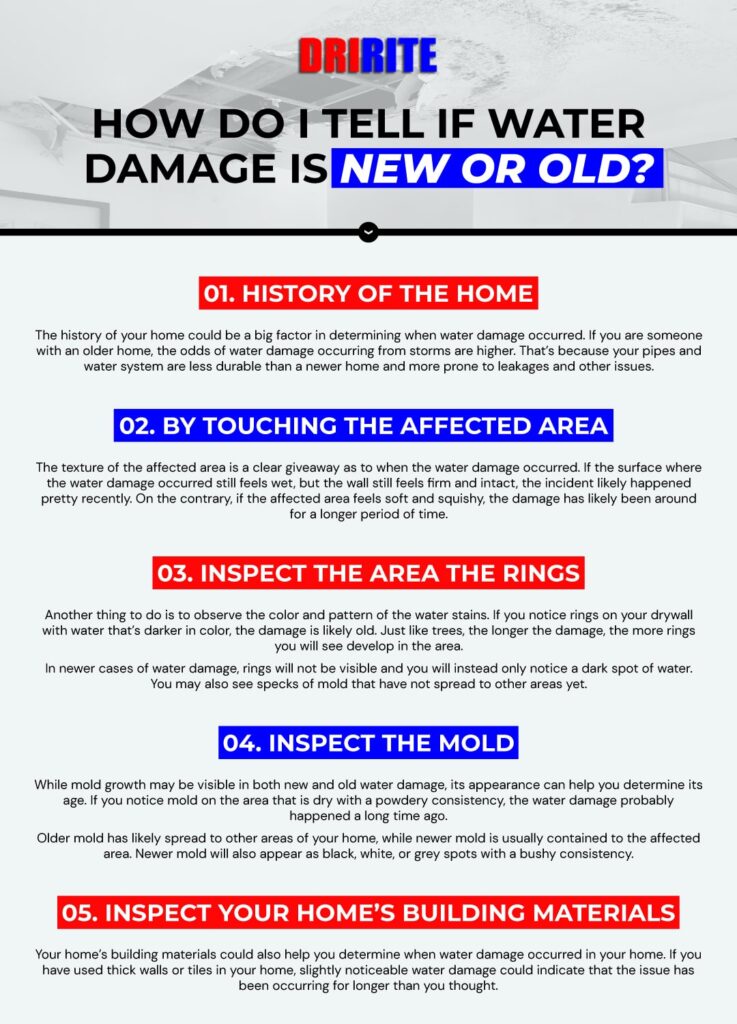 How Do I Tell If Water Damage Is New or Old?