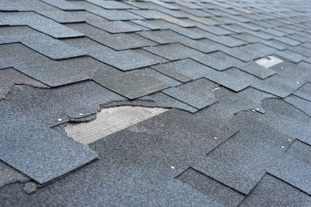 Check for Roof Damage to Prevent Water Damage From Heavy Rains