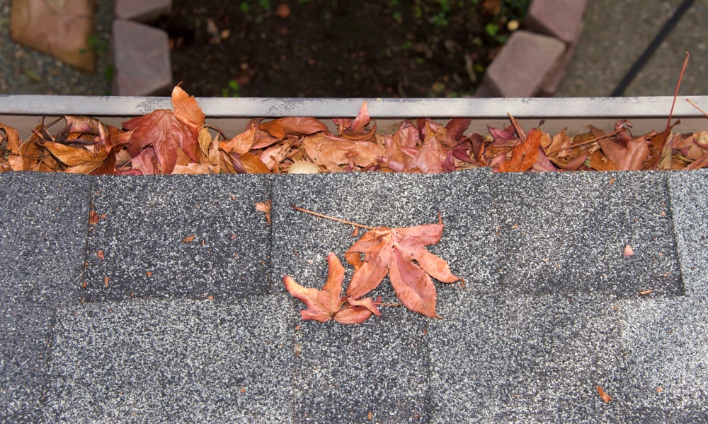 Maintain Gutters and Downspouts