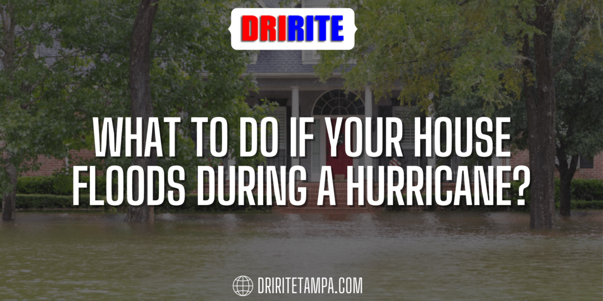 What to Do If Your House Floods During a Hurricane