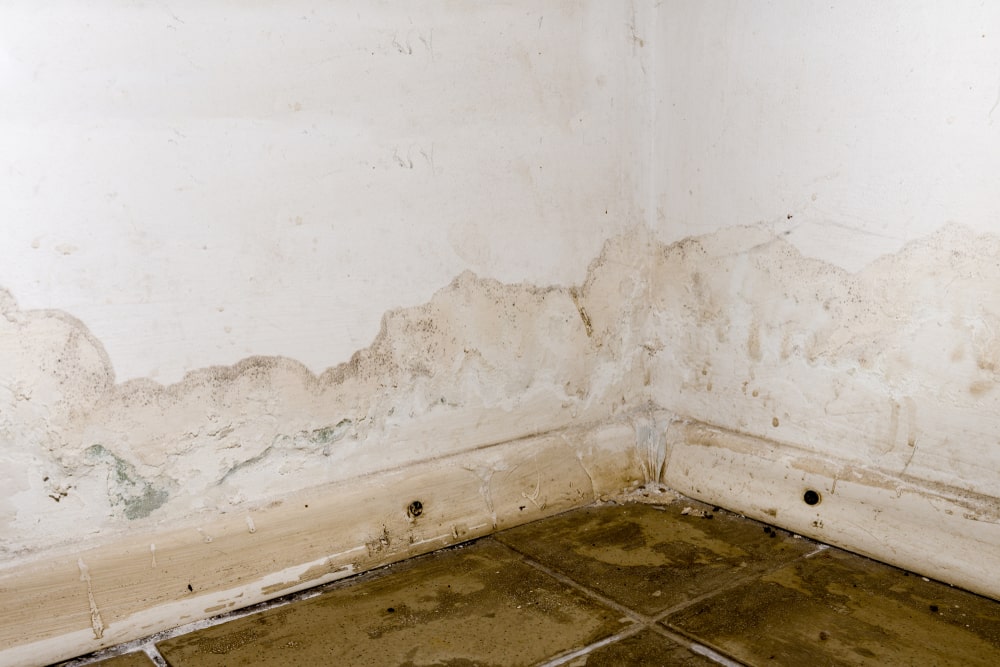 Why Does Drywall Need To Be Replaced After Water Damage