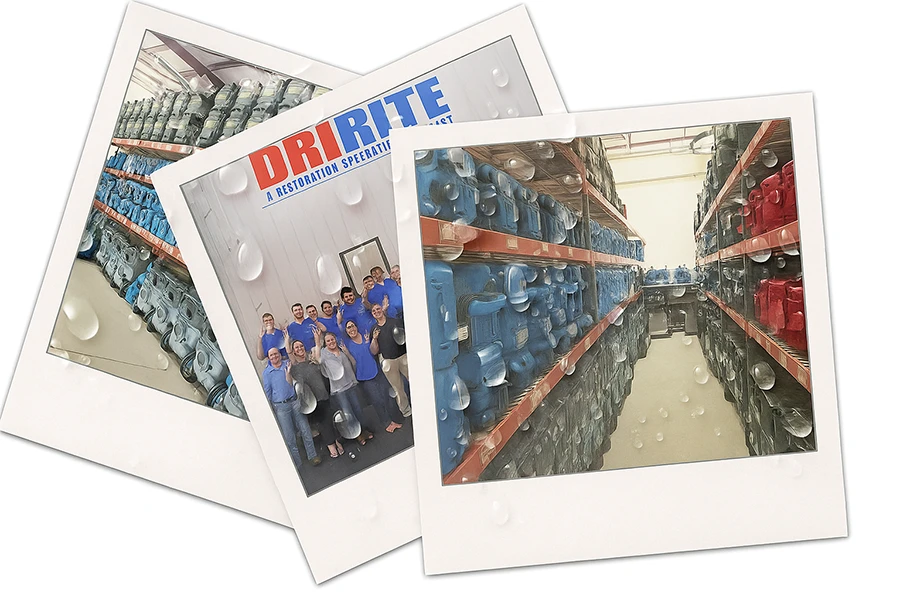 DRIRITE® Tampa Water Damage & Disaster Restoration Company