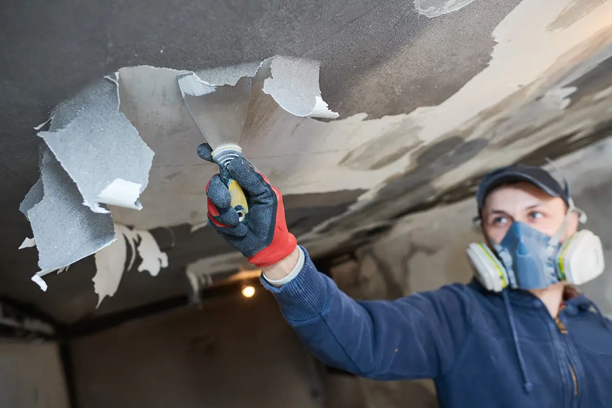 fire damage repair in tampa bay area