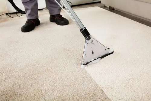 Carpet Cleaning in Tampa bay area