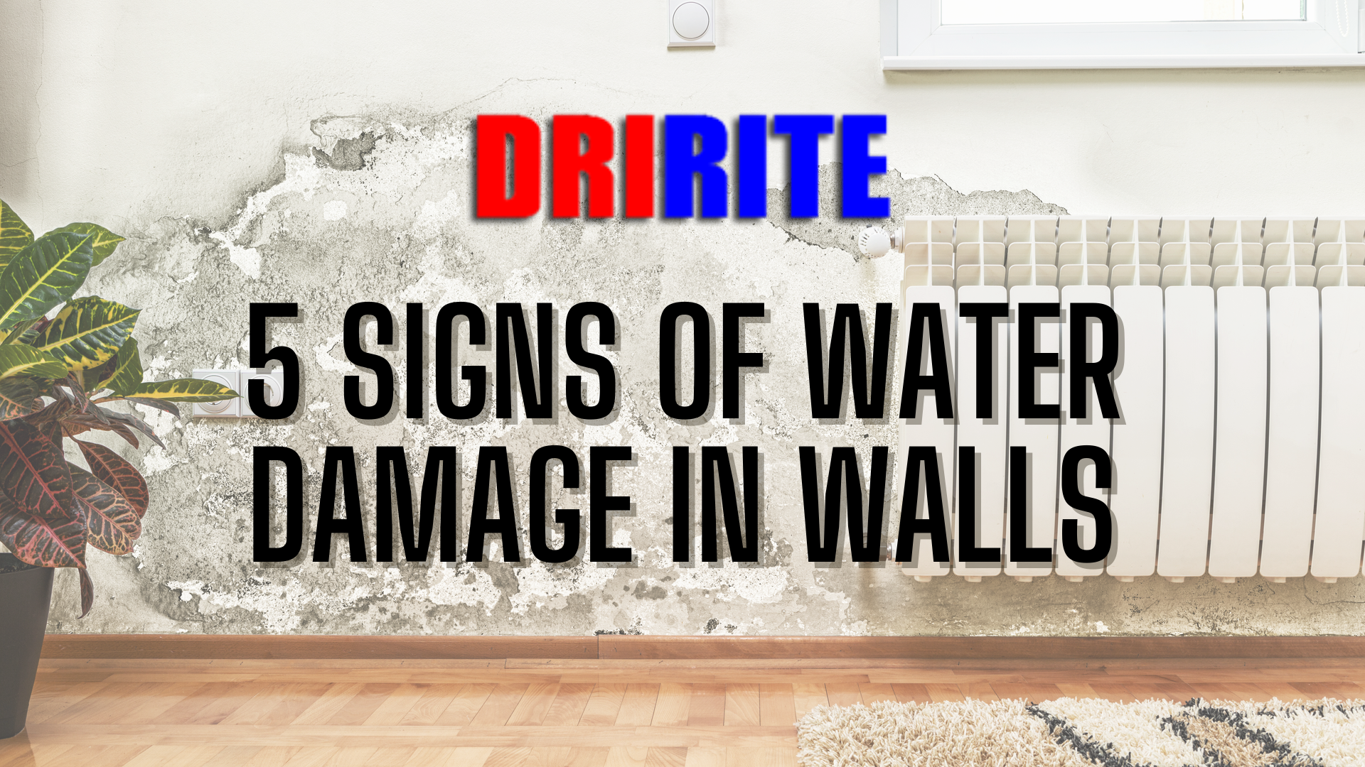 5 Signs of Water Damage in Walls (1)