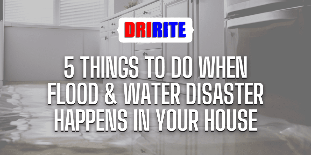5 Things to Do When Flood & Water Disaster Happens in Your House Banner
