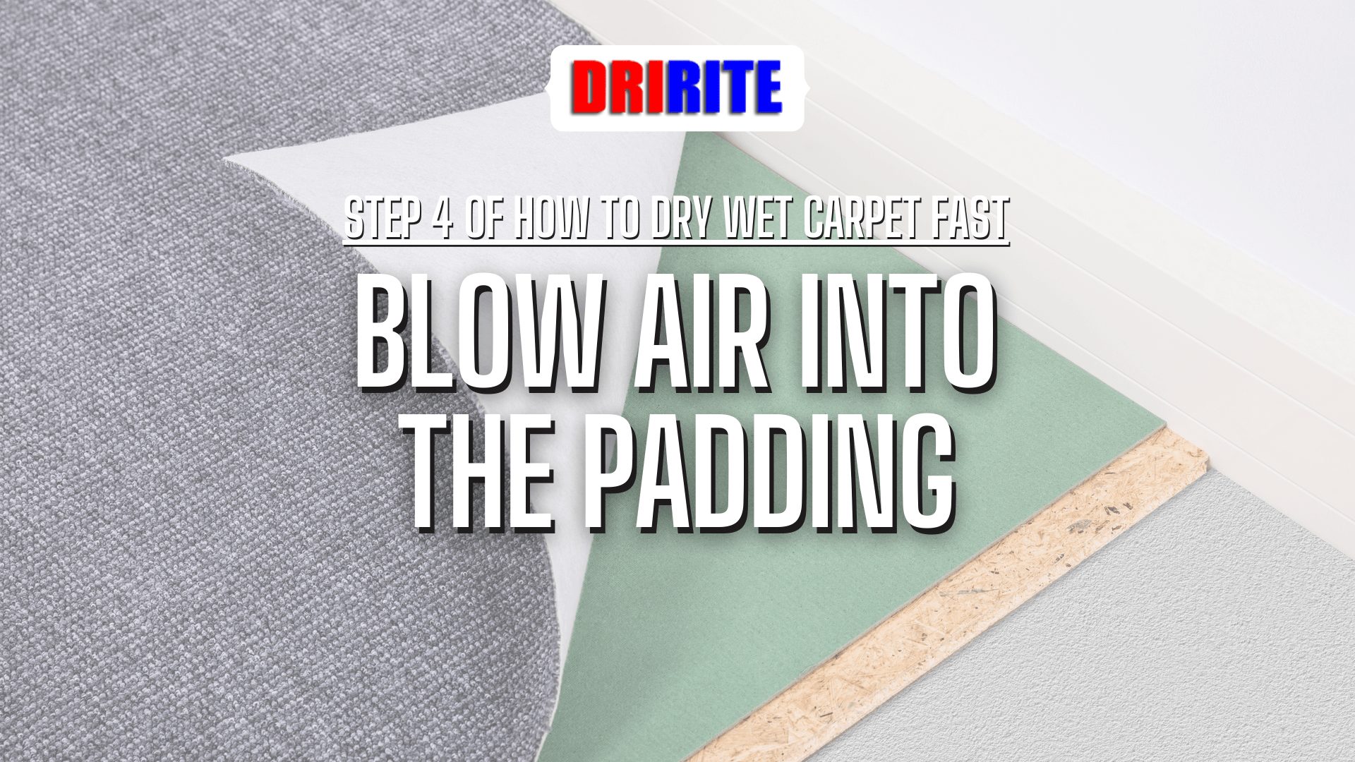 Blow Air Into The Padding - How To Dry Wet Carpet After Water Damage?