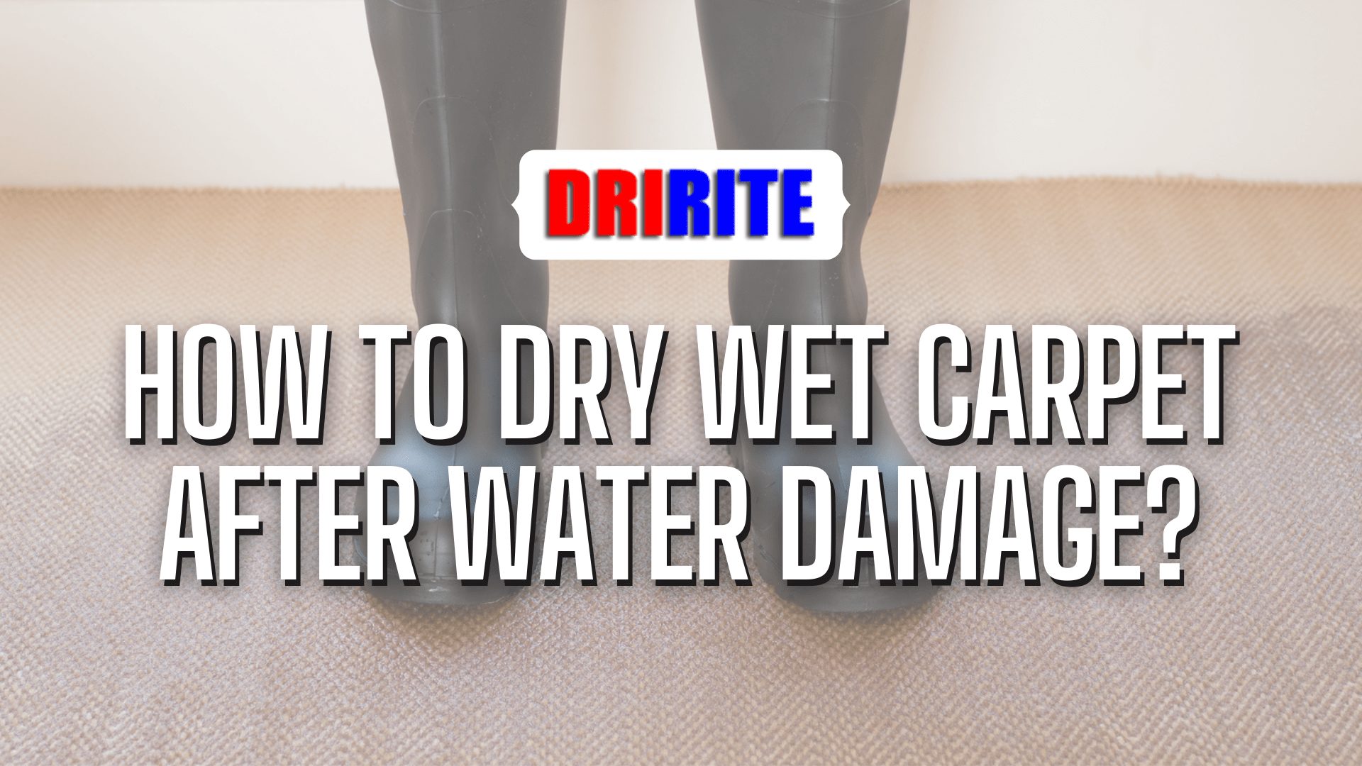 How To Dry Wet Carpet After Water Damage?
