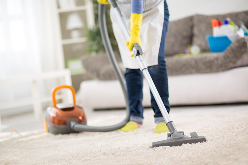 Can You Fix a Water-Damaged Carpet Yourself?