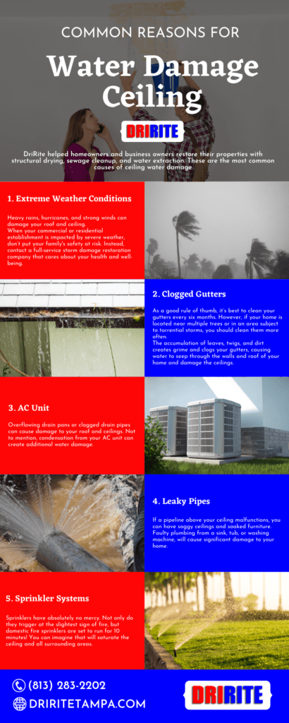 Common Reasons for Water Damage Ceiling
