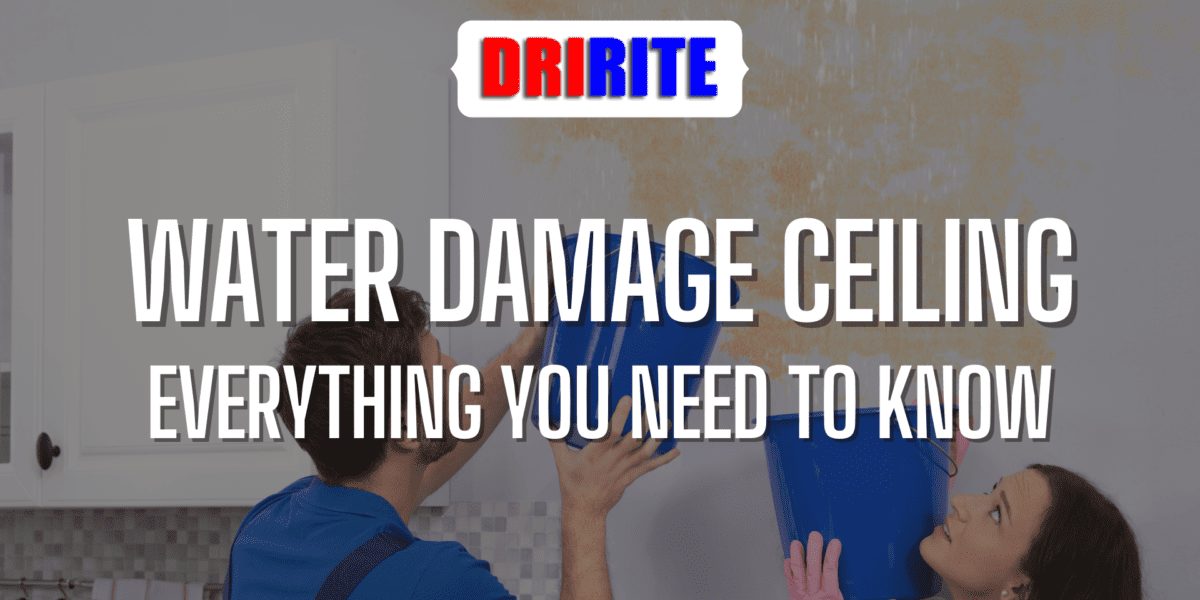 Water Damage Ceiling Everything You Need to Know