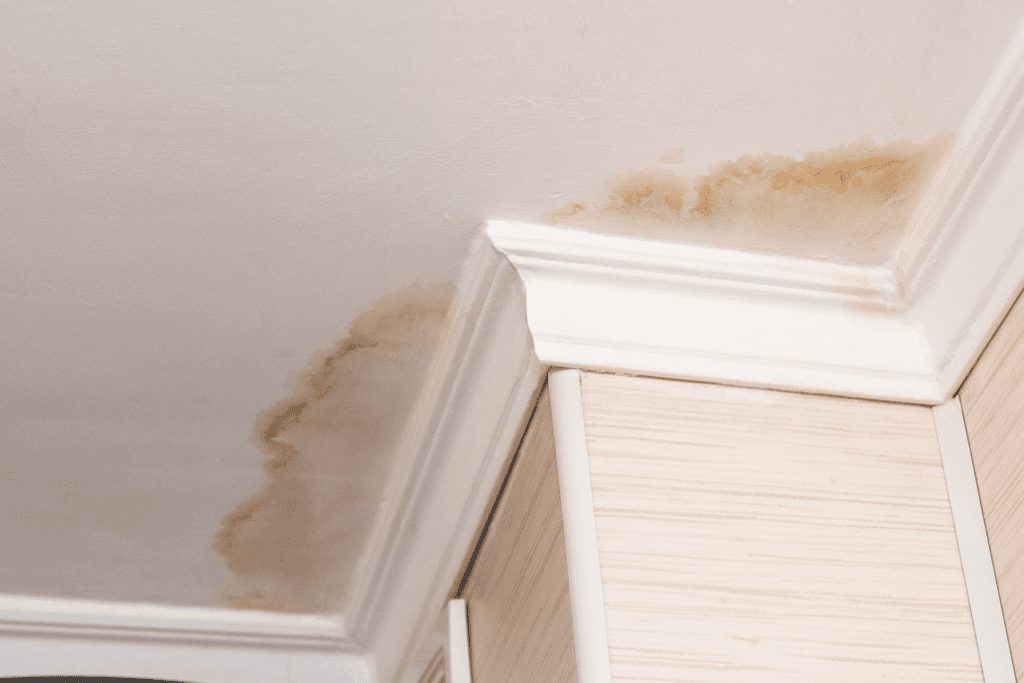 Yellowish Brown Water Spots - Ceiling Water Damage