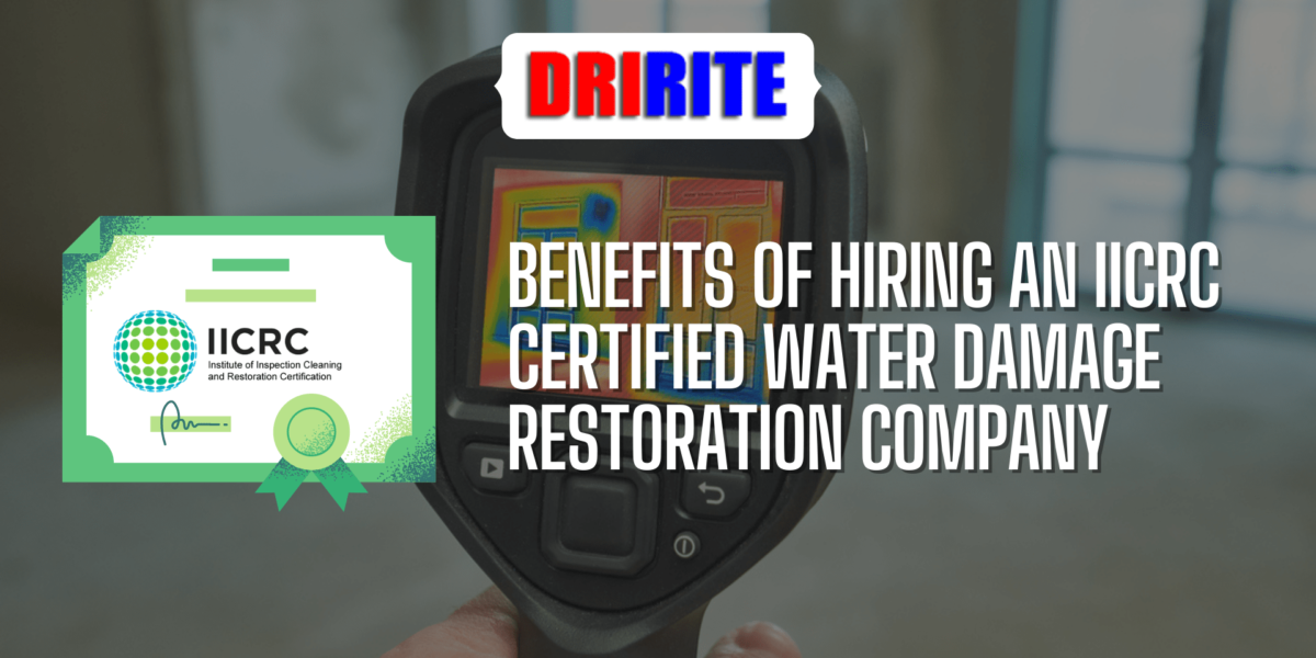 Benefits of Hiring an IICRC-Certified Water Damage Restoration Company