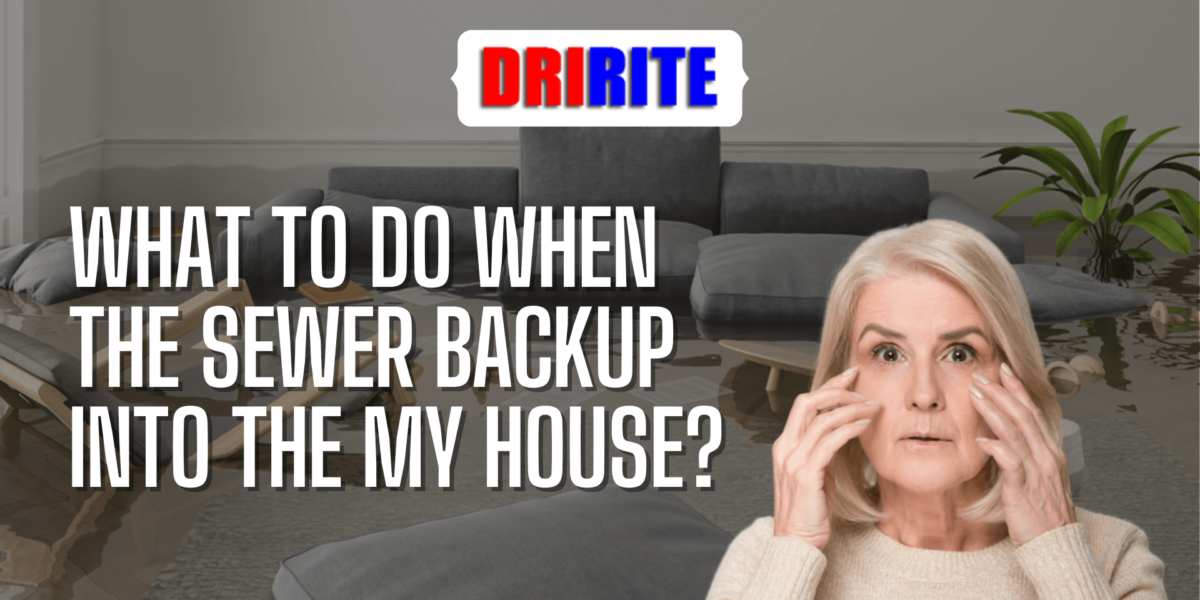 What to do when the Sewer Backup into the my house