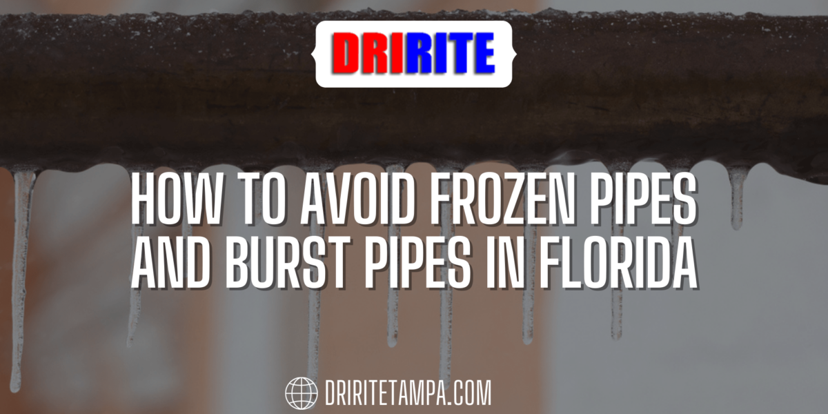 How to Avoid Frozen Pipes and Burst Pipes in Florida
