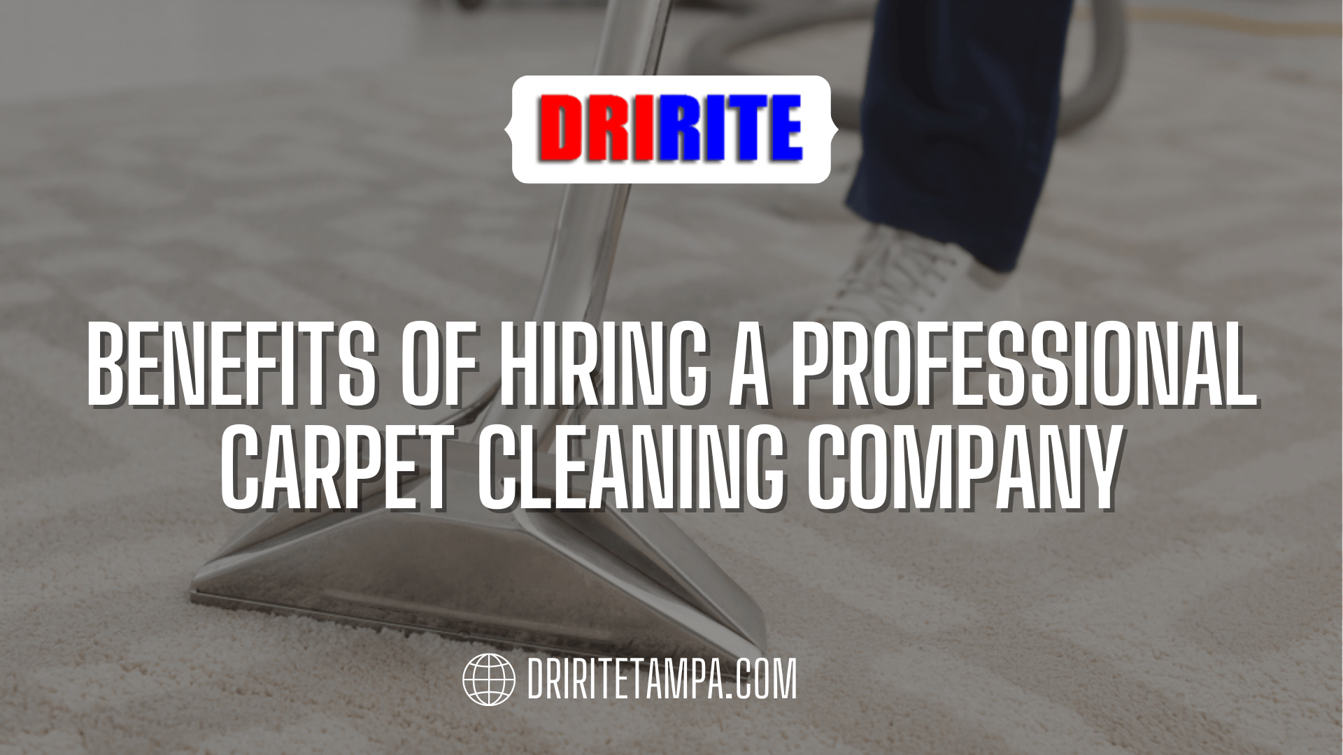 Benefits of Hiring a Professional Carpet Cleaning Company