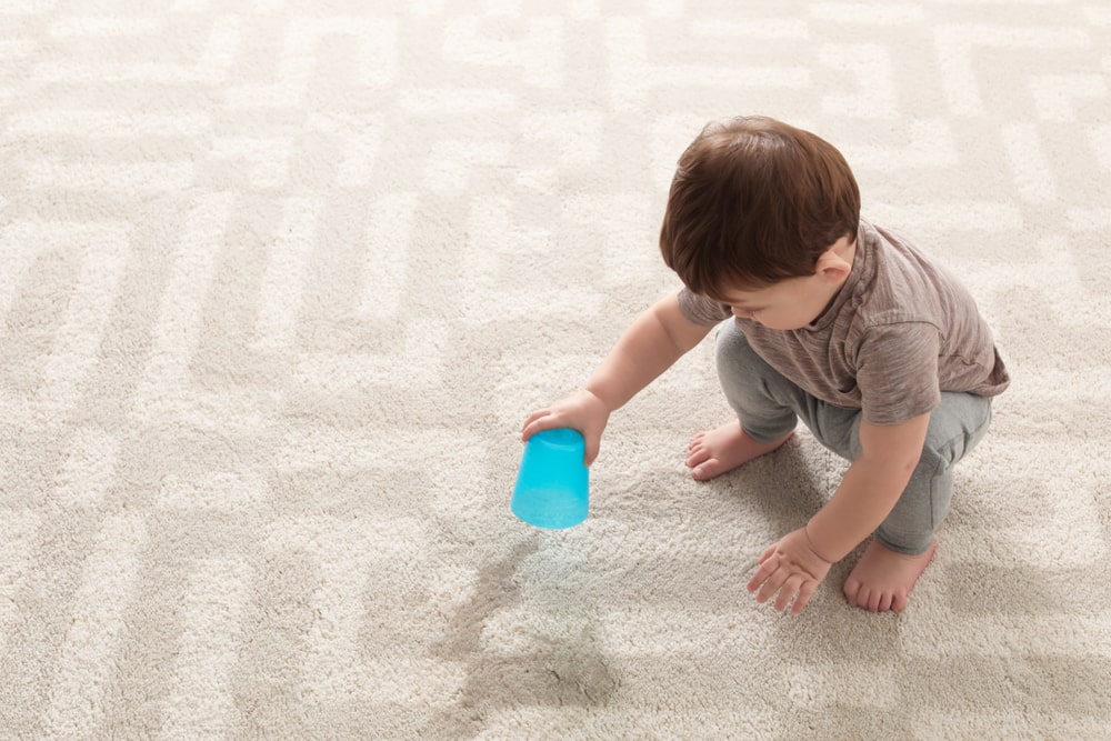 How Often Should You Clean Your Carpet With Kids