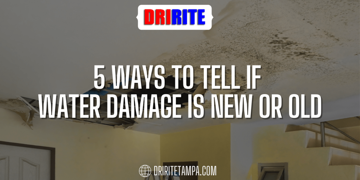 5 Ways To Tell If Water Damage Is New Or Old