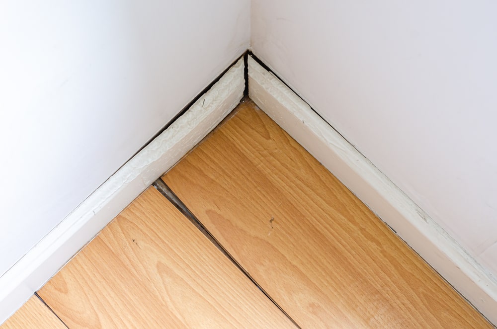Inspect Water Damage on Baseboards