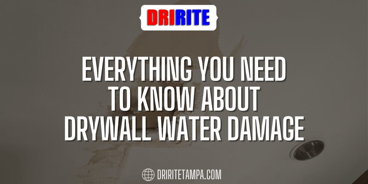 Everything You Need To Know About Drywall Water Damage