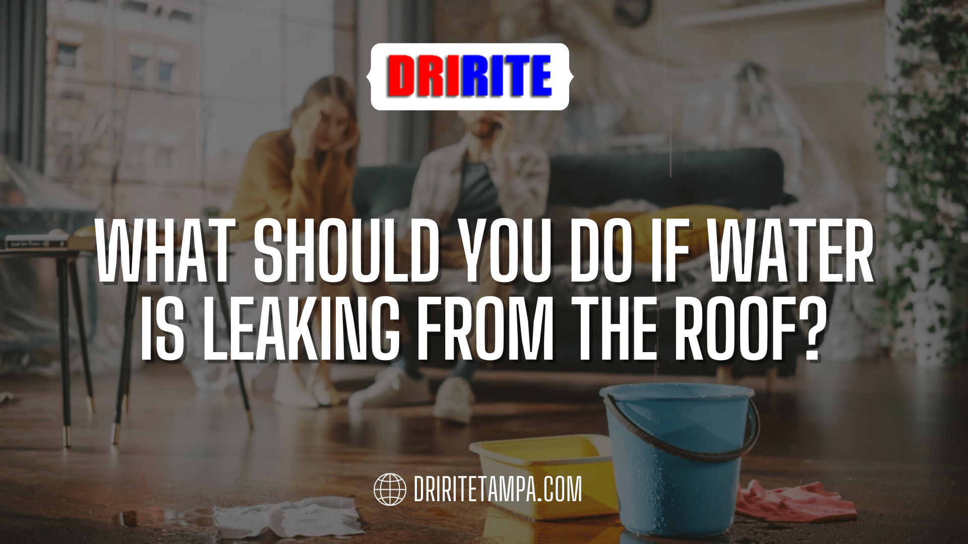 What Should You Do if Water Is Leaking From the Roof